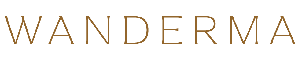 Logo orizontal Wanderma Clinic, doar text, fără emblema amprentei, pe fundal alb.